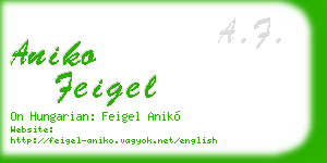 aniko feigel business card